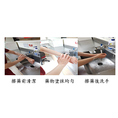 螢幕擷取畫面 2024-01-26 132544.png