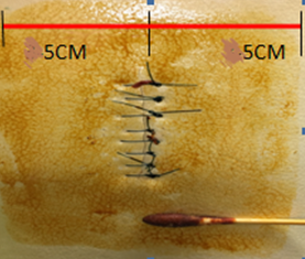 b24b662fa4fa1f82467a29c8c468e26d.png