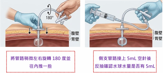 ab90486fb8bf9dfad205407bb9f32256.png