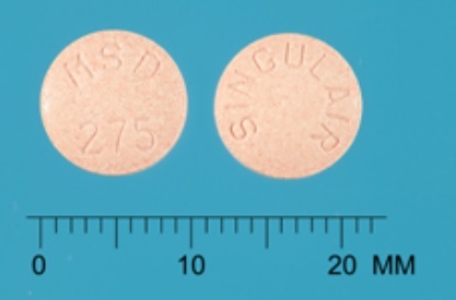 fbee78c5ccf484baaa775348937af9f5.jpg