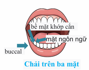 29ff46733a1f01d05c19419f72f878fd.png