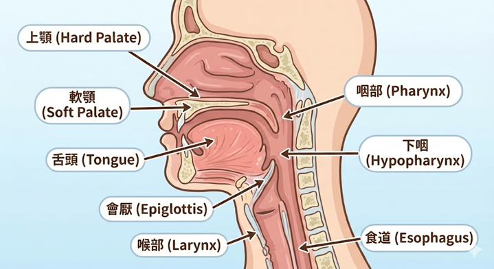 b135d305a534e9dbfb530ca1606f58e3.png