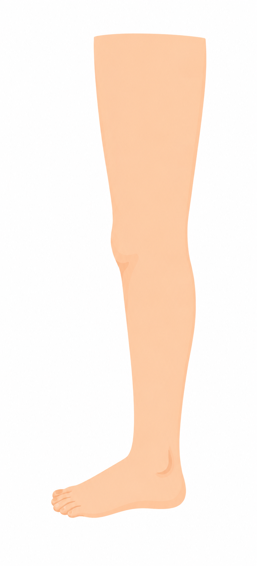 9f08e95fb7e523a88f11451343ca2416.png