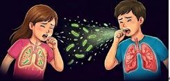 3ce9059184ddc820499e980d7da73267.jpg
