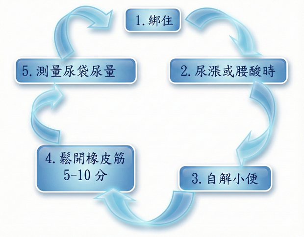 31104f024048e3eba88a0accb6046411.png