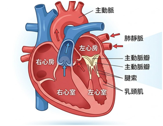 b46ffe7ce0f041a8eb0c0b35fc3ff162.png