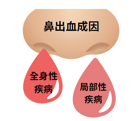 03de4171b4180be929d536a5b69d5c88.png