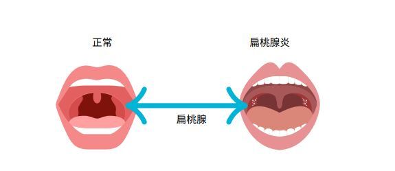 e4269a9ceccf430f38e8a8e73409f90f.jpg
