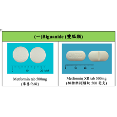 螢幕快照 2024-01-24 01.05.27.png